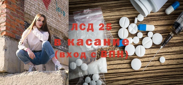 PSILOCYBIN Бородино