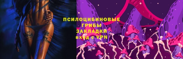PSILOCYBIN Бородино