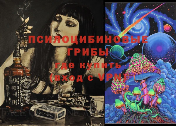 PSILOCYBIN Бородино