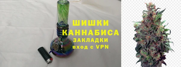 PSILOCYBIN Бородино