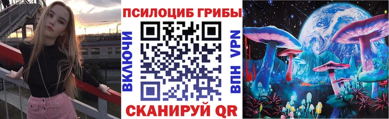 Купить где  Астрахань  Галлюциногенные грибы Cubensis 